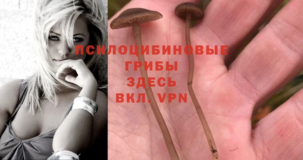 a pvp Навашино